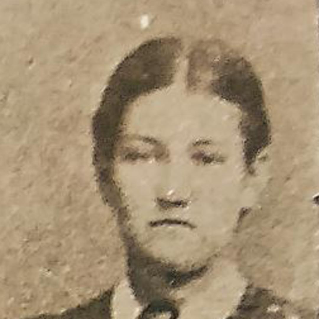 Jane Clotilda Marsh (1828 - 1904) Profile